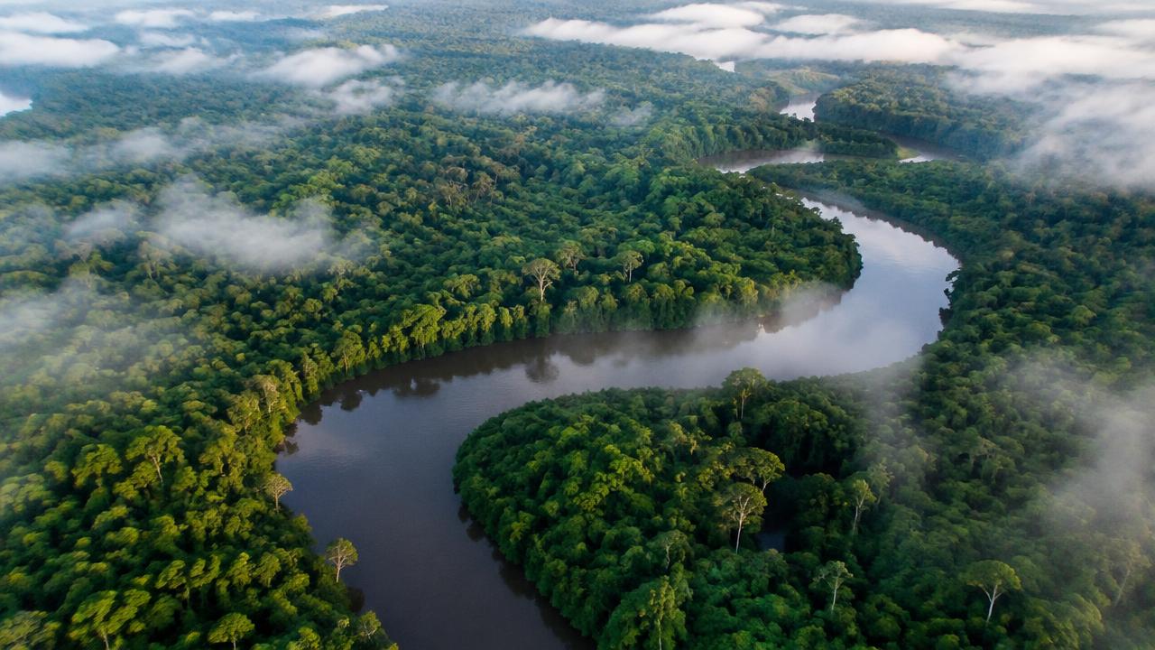 Desmatamento no Amazonas tem queda de 30%, aponta monitoramento por satélite